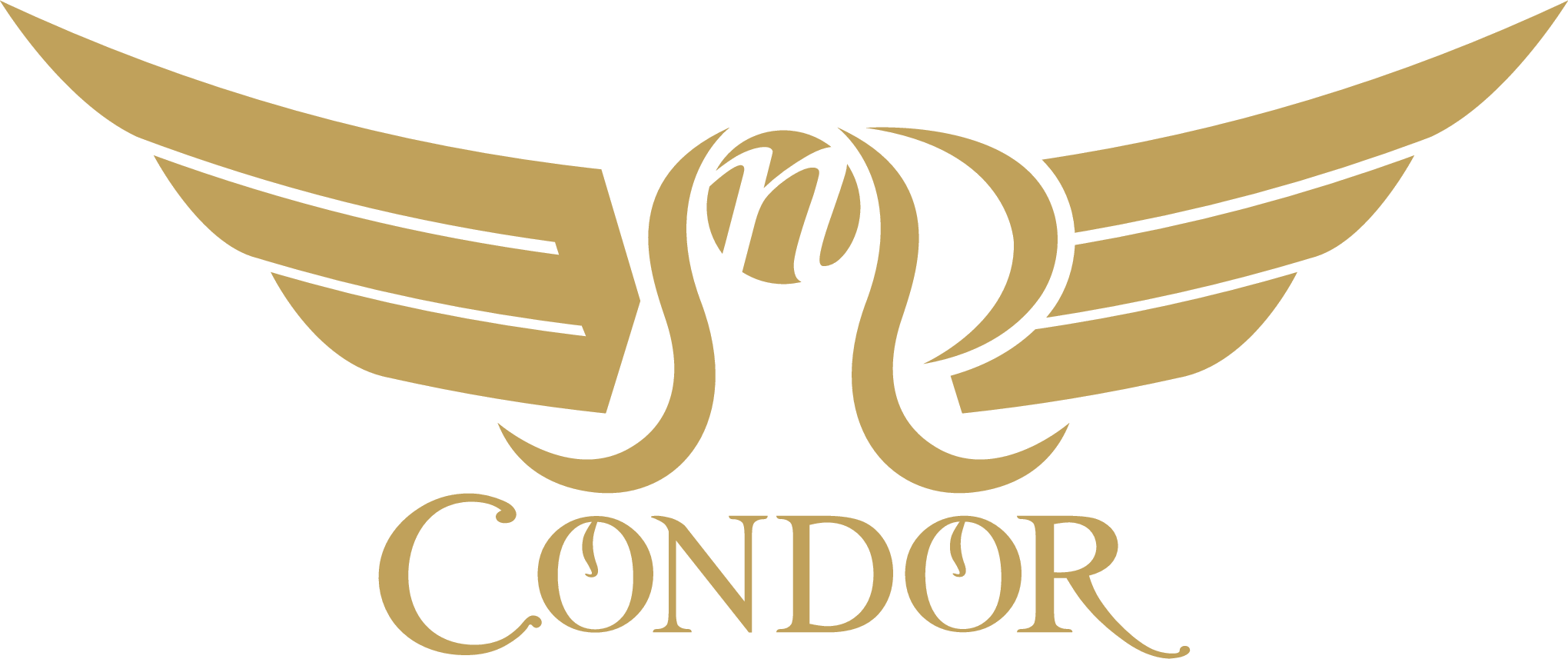 Condor Interactive