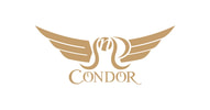 CONDOR INTERACTIVE, INC. Operates as a worldwide media, apparel and technology company